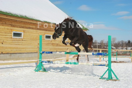 barrier_bar_obstacle_Horse_Jum