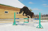 barrier_bar_obstacle_Horse_Jum