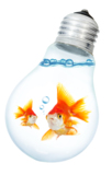 bulb_light_electricity_inspira