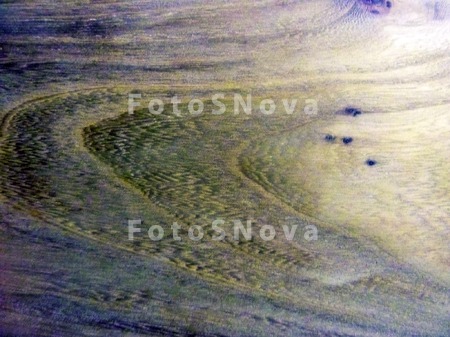 derevo,_drevesina,_izofrajenie