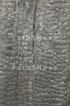 tekstura_dereva,_tekstura,_obg