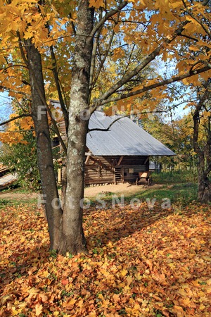 19th_aging_antique_autumn_bask