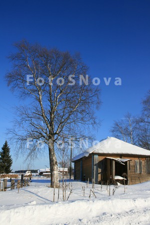 Selo,_selskaya,_Sever,_derevy