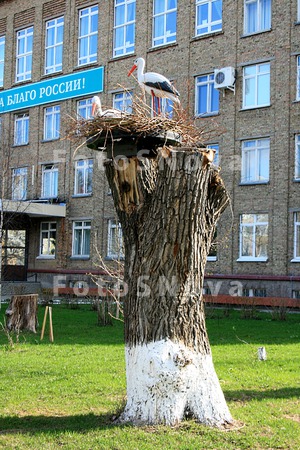 Syiktyivkar,_gorod,_respublika