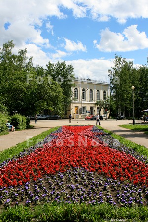 Klumbyi_,_tsvetyi,_gorod,_plo
