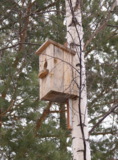 skvorechnik,_kormushka,_domik,
