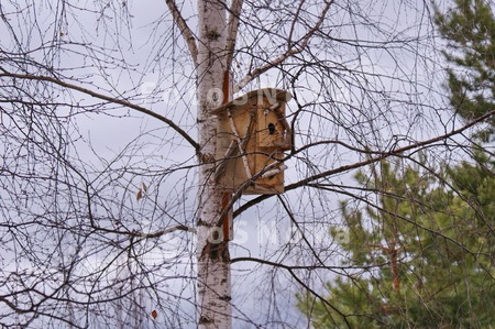 skvorechnik,_kormushka,_domik,
