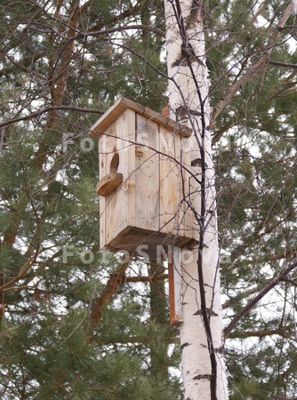 skvorechnik,_kormushka,_domik,