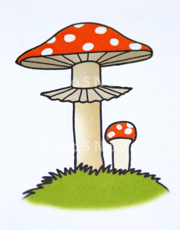 tsvetnoy,_raznotsvetnyiy,_risu
