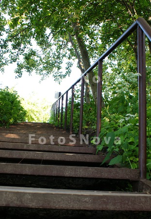 derevyannaya,_lestnitsa,_stupe