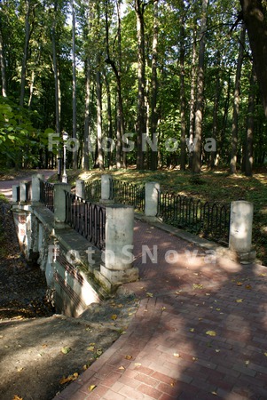 park_bridge_nature_landscape_t