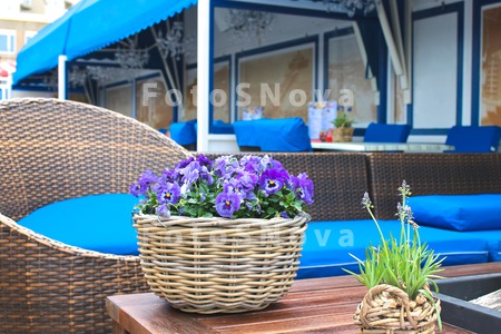 restaurant_cafe_table_chair_fu