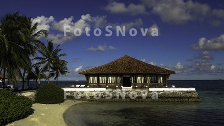 Ostrova