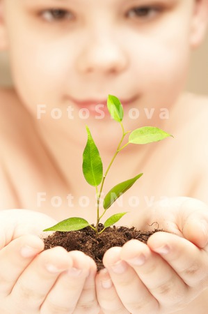 hands_plants_lives_growth_care