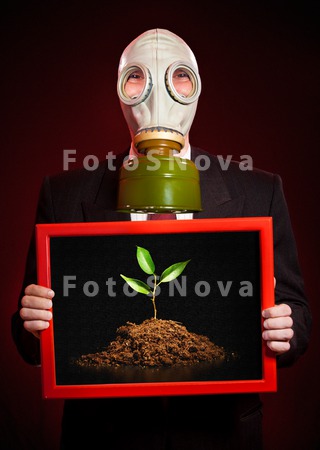 frame_leaf_nature_sprout_plant