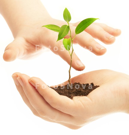 abstract_agriculture_backgroun