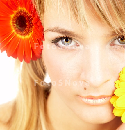 women_beauty_gerbera_female_fl