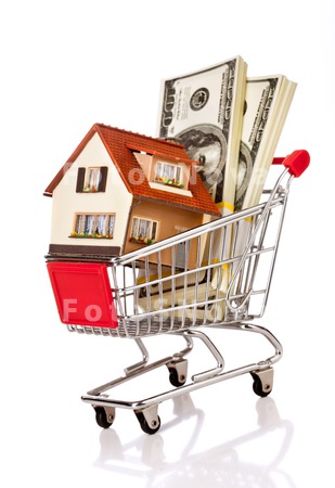 shopping_house_buy_dollar_buyi