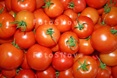 помидоры,_помидо