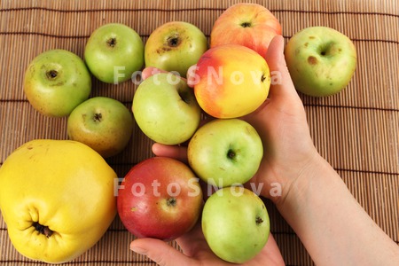 still_life,_apple,_apple,_quin