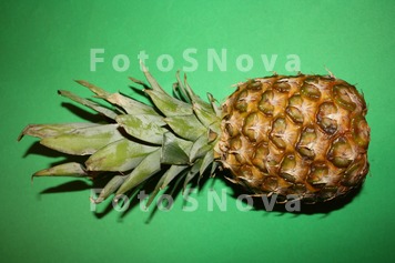 Ананас,_тропики,_