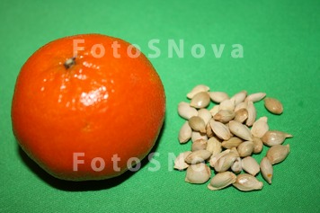 Мандарины,_фрукт