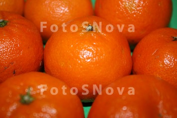 Мандарин,_фрукты