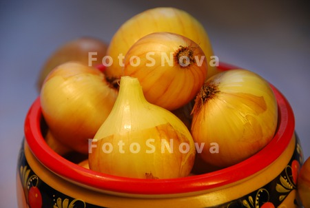 luk_repchatyiy_repka_ovoschi_o