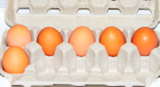 яйца,_белый,_фон,_