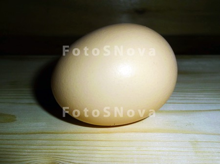 derevo,_drevesina,_derevyannoe