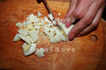 Prigotovlenie,_rezka,_ogurtsyi