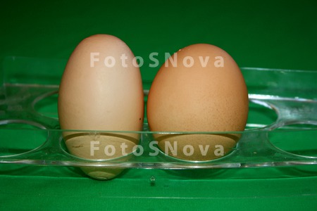 produkt_pitaniya._yaytso_kurin