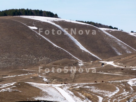 Kavkaz,_Stavropolskiy_kray,_Ki