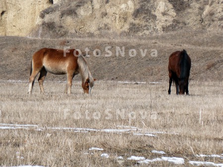 Kavkaz,_Stavropolskiy_kray,_Ki