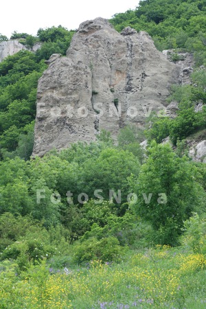 Goryi,_Pyatigorsk,_peyzaj,_les