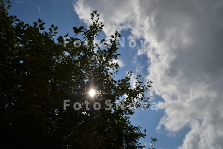 The_landscape,_summer,_the_sky