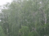 лето_ливень_дожд