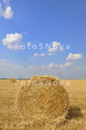 selskoe_hozyaystvo;_seno;_pole