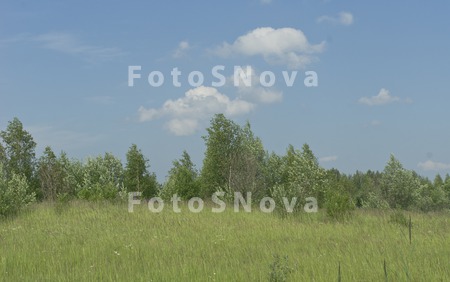 letniy,_peyzaj,_den,_solnechno