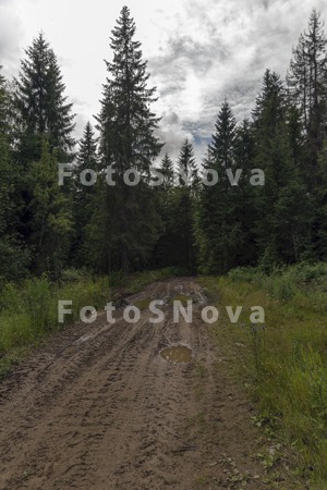 sever,_severnyiy,_peyzaj,_prir