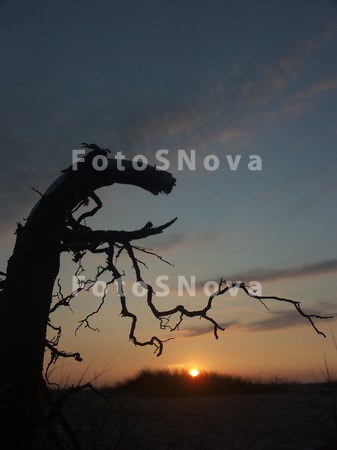 landscape,_sunset,_monster,_ni
