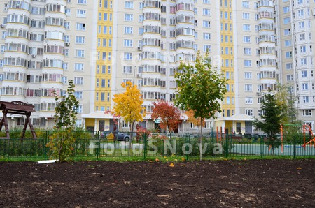 Listya,_osen,_yarko,_zelenyie,