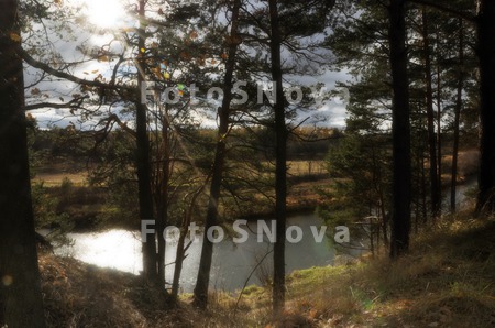 autumn,_river,_forest,_tree,_s