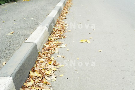 listva,_listya,_jeltyie,_suhie