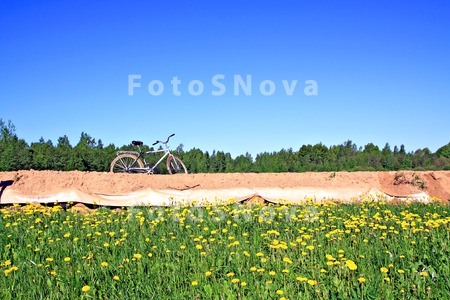 sand_road_travel_adventure_dri
