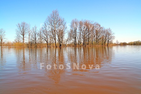 beauty_blue_branch_brown_bushe
