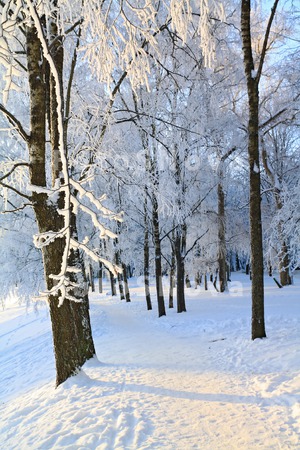 area_backgrounds_bare_blue_bra