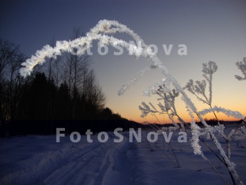 Winter_night,_frost_on_the_gra