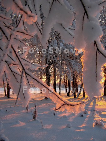 moroz_sneg_dekabr_zima_solntse
