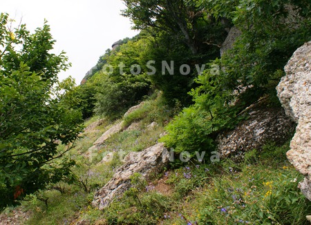 urochische,_zapovednik,_demerd